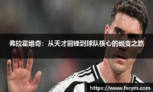 弗拉霍维奇：从天才前锋到球队核心的蜕变之路